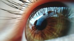 Image: Reflection in a human eye.