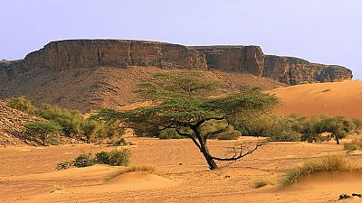 Sahara mauritanien : retour des touristes pourrait rimer avec espoir de paix