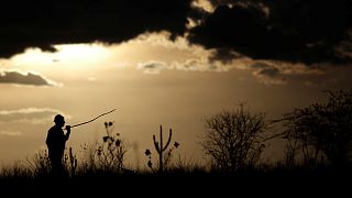 El planeta sufrió las consecuencias del calor en 2017