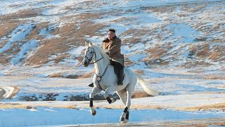 Image: North Korean leader Kim Jong Un riding a white horse amongst the fir