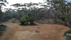 Image: An SOS sign written in the dirt by Australian woman Deborah Pilgrim 