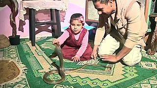 Un chasseur de crocodile égyptien aide les habitants en attrapant des serpents [no comment]