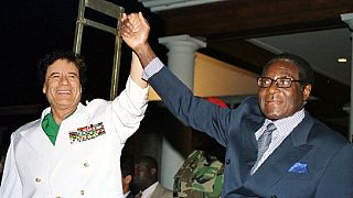 Mugabe could have ended up like Gaddafi - Ex-spokesman