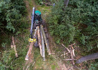 Heavy machinery removing damaged trees in Hainich forest, Sept. 5, 2019.