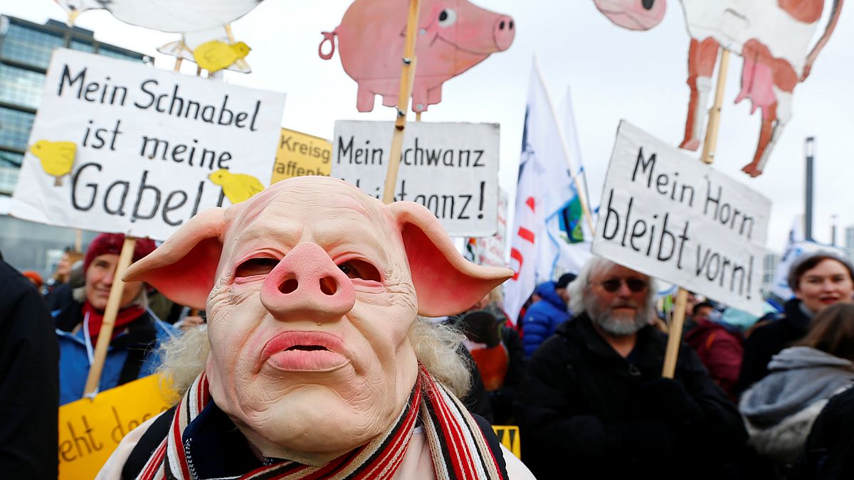 "Kein Schwein braucht Tierfabriken!" Zehntausende & Bauern mit 150 Traktoren in Berlin