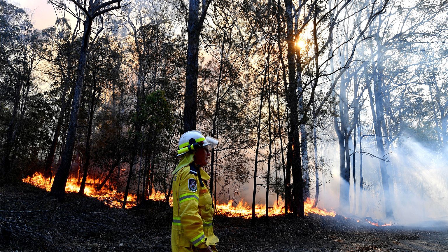 Image: Australia bushfire
