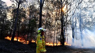 Image: Australia bushfire