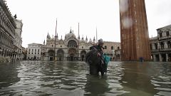 Image: Venice Flooding
