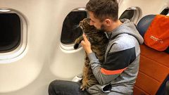 Image: Fat cat on plane