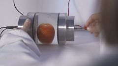 Elektroporation: Hochspannung holt mehr aus Obst und Gemüse raus