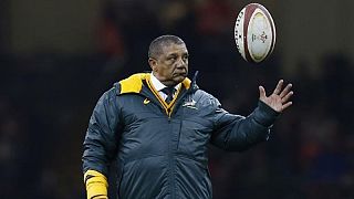 Rugby - Critiqué de toutes parts, Coetzee quitte les Springboks