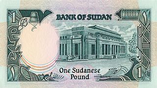 Sudan central bank devalues currency amid soaring inflation