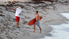 Image: Red Tide Warnings Have Closed Some Miami Area Beaches