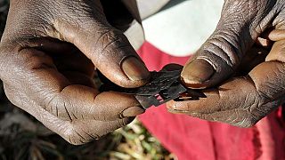 Mutilations génitales féminines : trois pays africains détiennent le plus fort taux de prévalence de ces pratiques