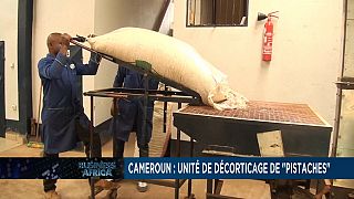 Cameroun : unité de décorticage de "pistaches"