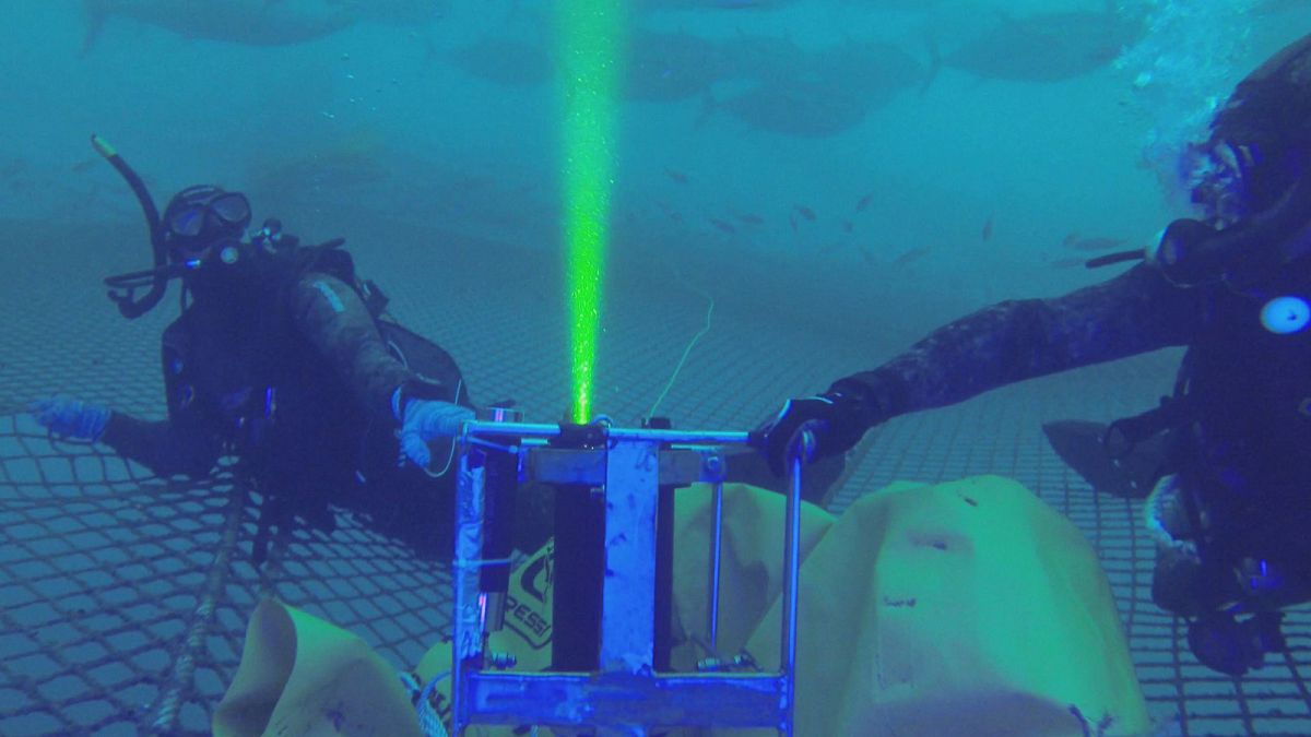 فناوری جدید دوربین های تصویربرداری زیر آب برای پرورش ماهی