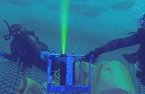 Les fonds marins à la lumière d'une nouvelle caméra laser