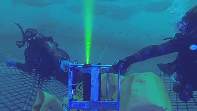 The new cameras that will revolutionise underwater research