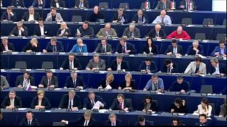 Европарламент: транснационалы, шпитцен-кандидаты, Чарнецкий