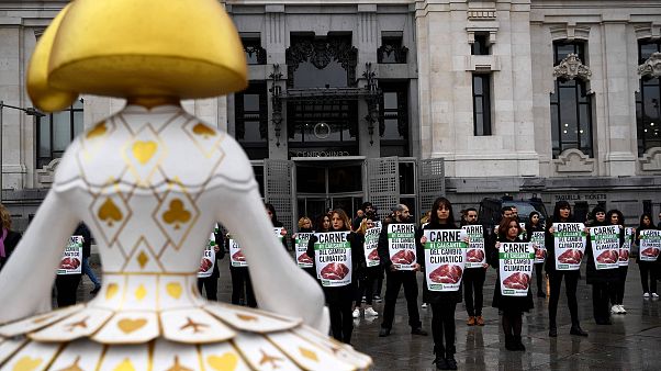 Image: Activists hold placards reading "meat is the first cause of climate Image: Activists hold placards reading "meat is the first cause of climate
