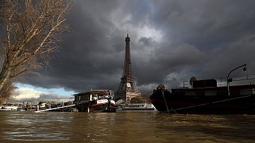 Январь в Европе был теплее, чем обычно Январь в Европе был теплее, чем обычно