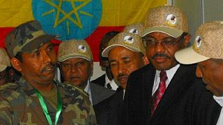 Éthiopie : le gouvernement décrète l'état d'urgence (TV publique)