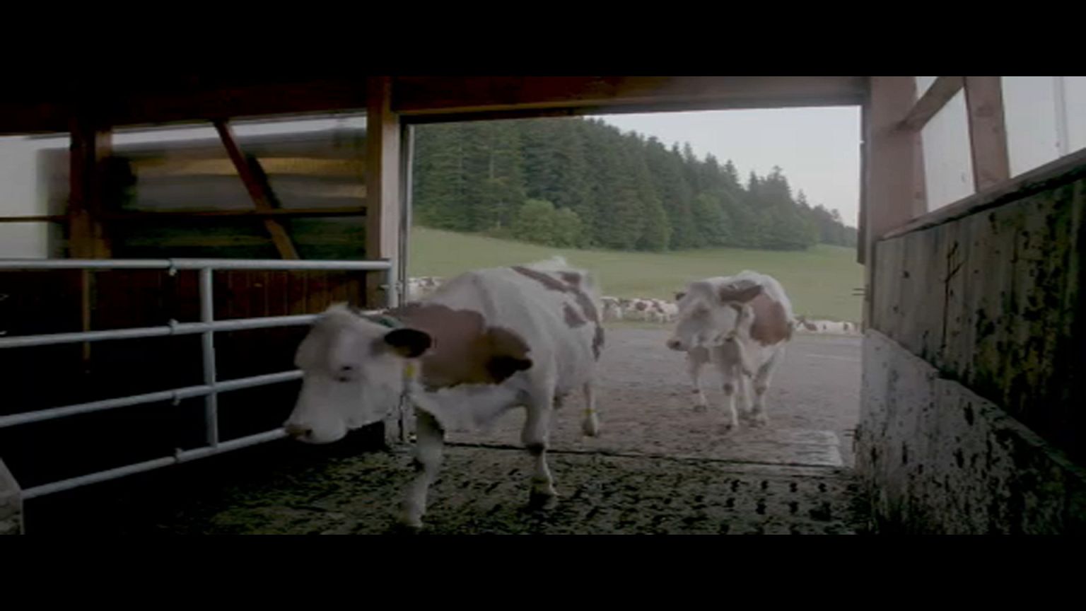 Csökkentené az agrártámogatásokat az EU
