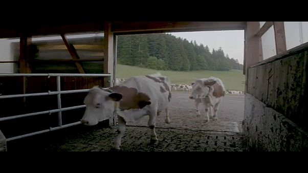 Quale futuro per la politica agricola comune? Quale futuro per la politica agricola comune?