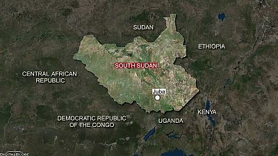Soudan du Sud : libération de deux pilotes kényans détenus par la rébellion
