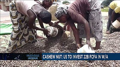 US pledges to support cashew nut industry [Business Africa]