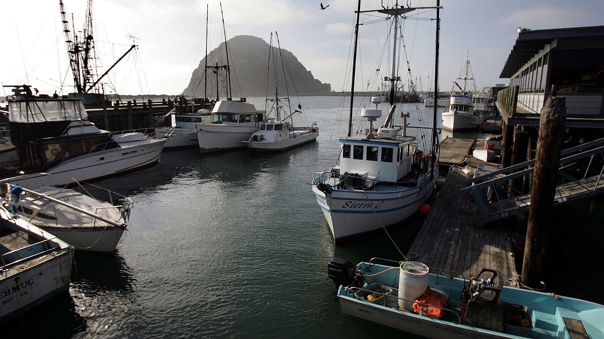 Image: View of Morro Bay commercial fishing vessels docks in harbor Febuary