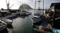Image: View of Morro Bay commercial fishing vessels docks in harbor Febuary
