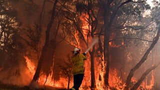 Image: Australia brush fire