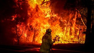 Image: Australia bushfire