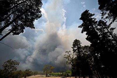 Around half of the 100 bushfires currently burning are not under control, according to Australian officials. 