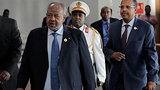 Djibouti ruling party claims landslide parliamentary win