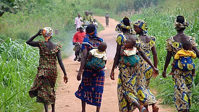Centrafrique : six humanitaires tués dans le nord-ouest (ONU)