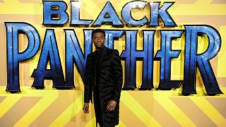 Wakanda Forever! Black Panther stars rock Oscars red carpet