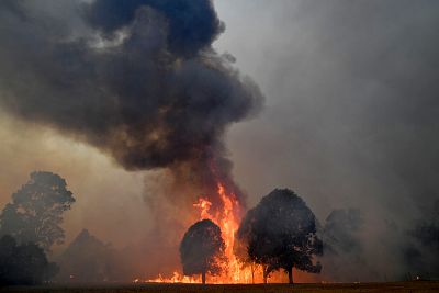 Smoke and flames rise from burning trees near the town of Nowra in New South Wales on Dec. 31.