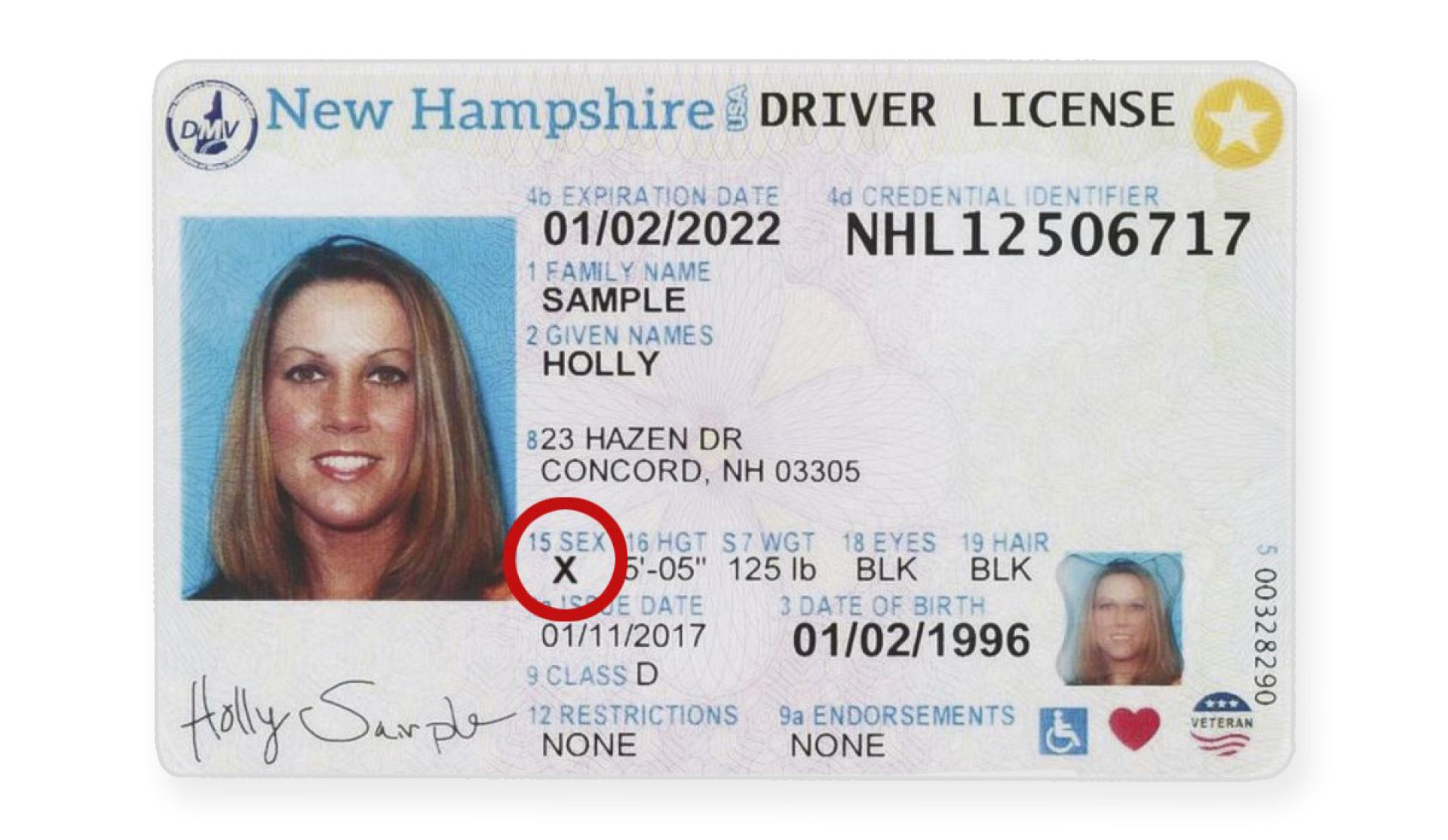 2020's new laws Genderneutral 'X' licenses, stronger ID, wear your