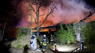 Image: Firemen work to extinguish flames as the ape house burns at Krefeld 