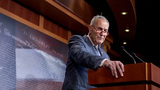 Image: Senate Minority Leader Chuck Schumer during a press conference in Wa