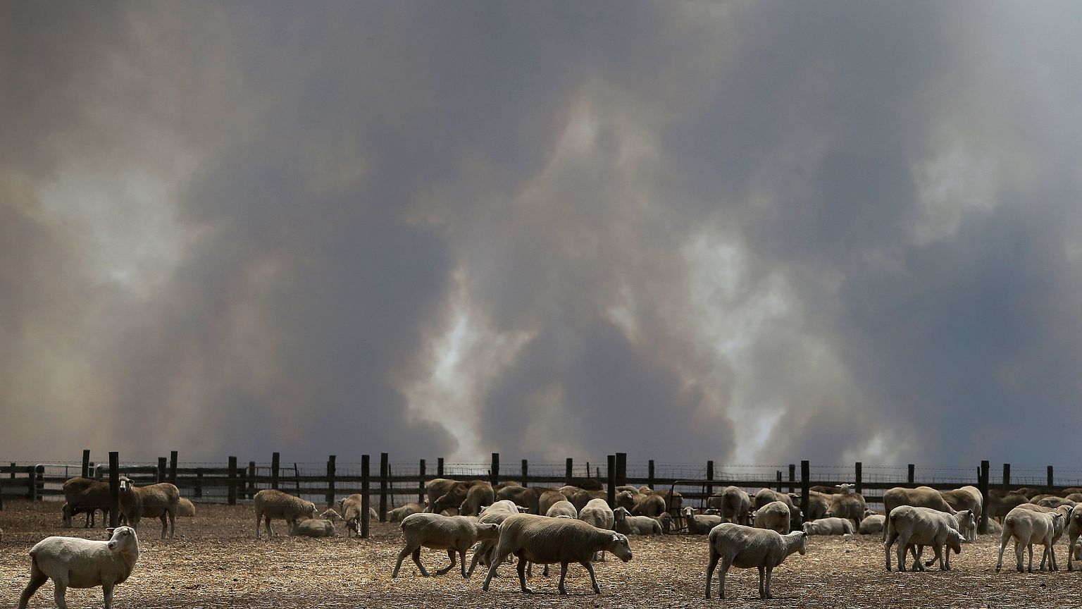 Image: *** BESTPIX *** Kangaroo Island Bushfire Threat Increases As Residen