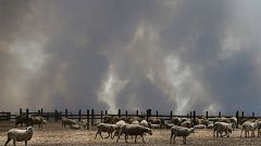 Image: *** BESTPIX *** Kangaroo Island Bushfire Threat Increases As Residen