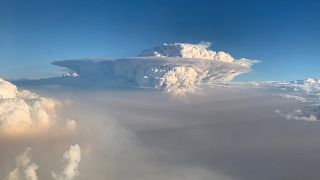 Image: Pyrocumulonimbus cloud formation is seen from a plane as bushfires c