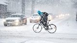 Февральские сюрпризы: за теплом - в Арктику