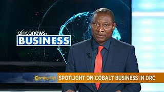 Spotlight on cobalt business in DRC [Business Segment]