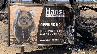 Imaage: Hanson Animal Sanctuary