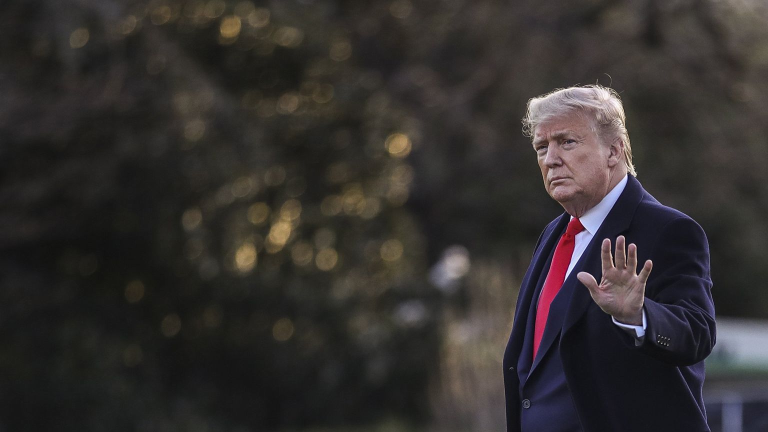 Image: Donald Trump