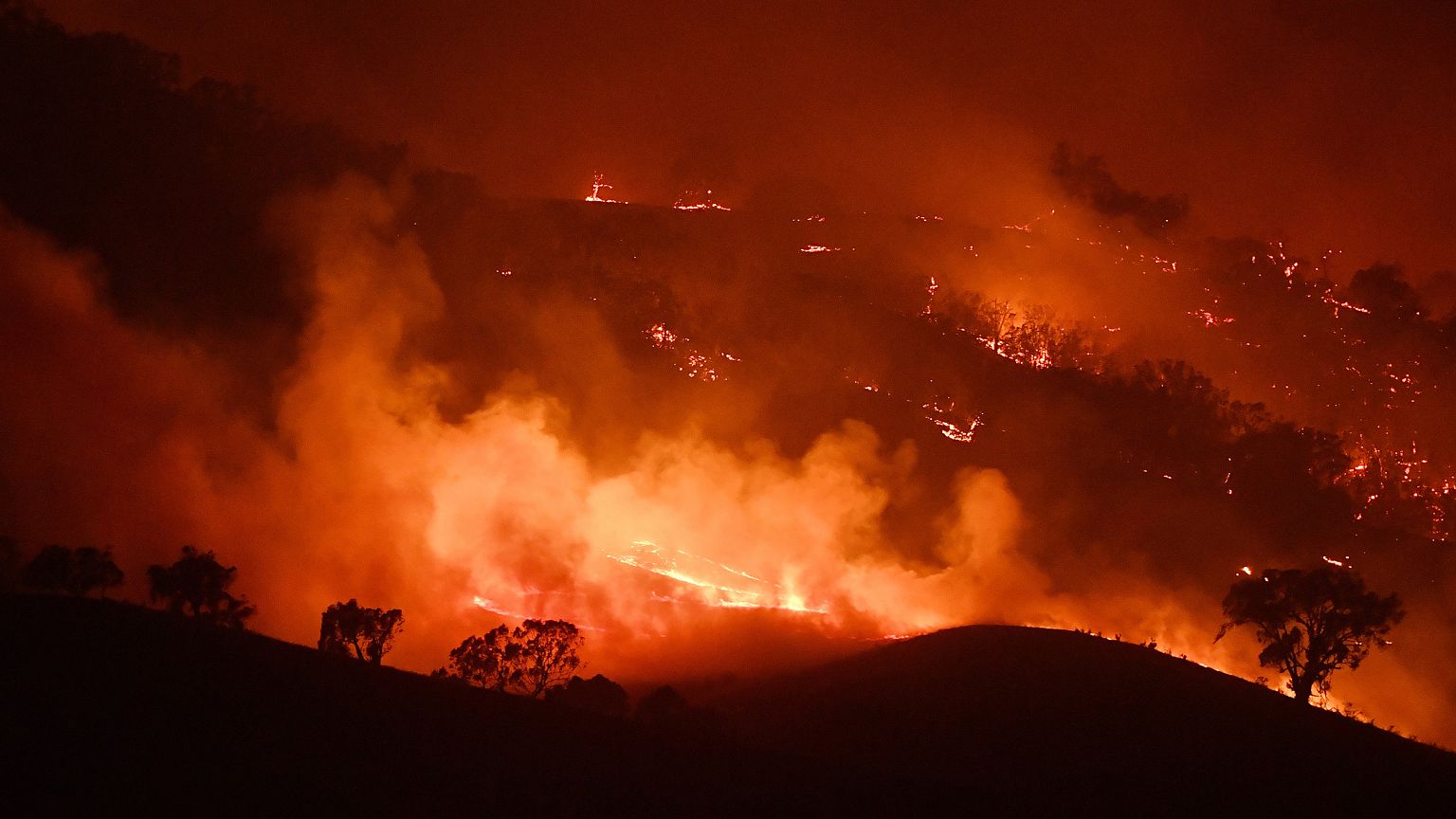 Image: NSW On Severe Bushfire Alert As Weather Conditions Worsen
